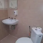 стария чинар