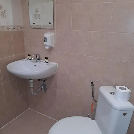 стария чинар