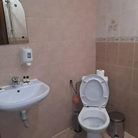 стария чинар 梅尔尼克