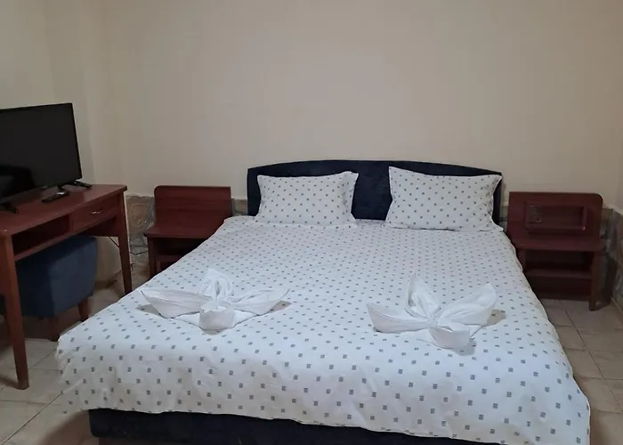 стария чинар