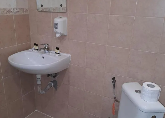 стария чинар